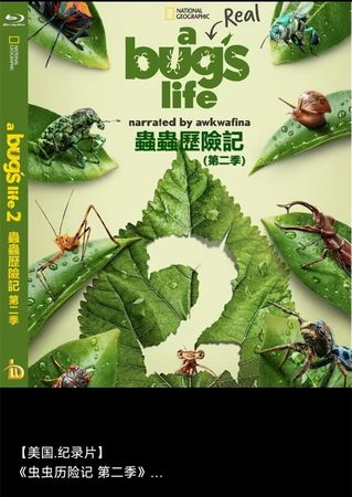 蓝光电影/蓝光碟-虫虫历险记 第二季 2025